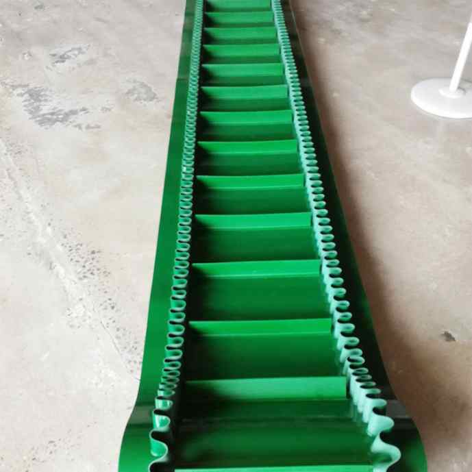 Băng Tải Pvc Tai Bèo